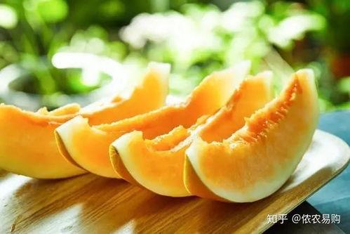 今日午餐蜜瓜好吃吗视频,今日午餐蜜瓜口感评测