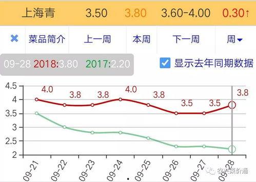 万邦今日蜜瓜行情走势图,今日走势解析，洞察市场脉动