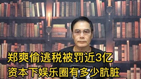 偷逃税款明星网红,税务监管下的行业反思