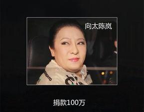 明星网红捐款出炉事件视频,慈善行动背后的争议与真相揭露