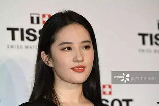 女明星网红对比图高清,高清对比图揭示的时尚魅力差异
