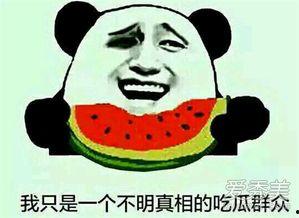 朝阳吃瓜群众今日吃瓜宋体,宋体字体背后的故事