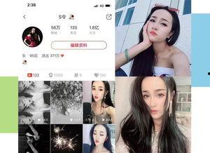 美女明星网红缅北视频,美女明星网红的神秘之旅