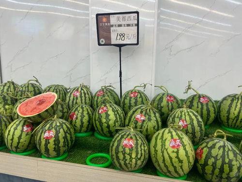 今日美都麒麟瓜价格,市场动态揭秘”