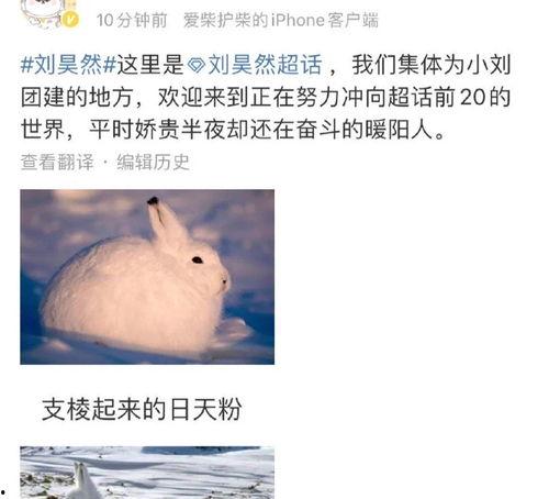 今日顶流瓜,娱乐圈最新热点事件深度解析