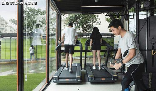 中牟小吊瓜今日价格走势,今日行情实时解析