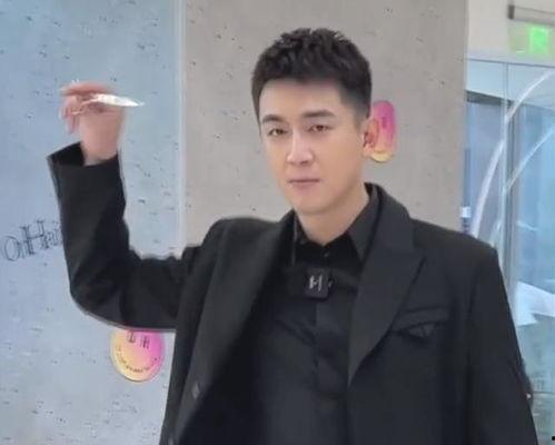 路人视角明星网红有哪些,揭秘路人视角下的明星网红风采