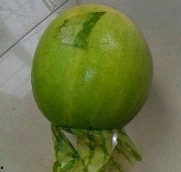 今日昆明吃瓜事件,一场网络热议背后的真相揭秘