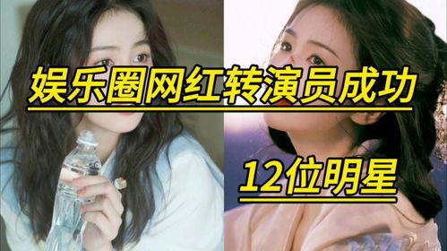 讽刺娱乐明星网红的小说,揭秘网红明星的荒诞人生