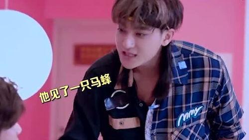鹿晗今日吃瓜视频播放,播放量飙升揭秘幕后故事