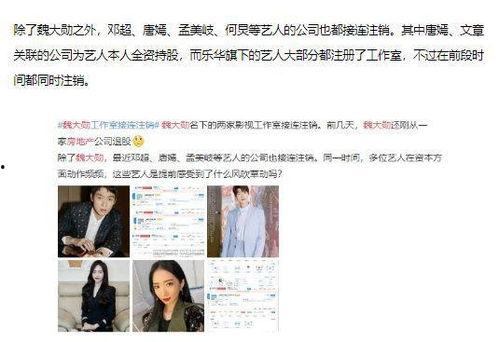 明星网红补缴税款多少,巨额金额揭示税务合规新趋势