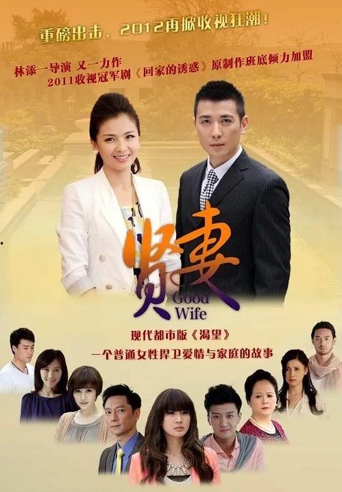 贤妻电视剧,揭秘现代婚姻中的智慧与挑战