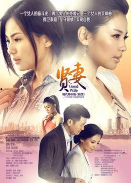 贤妻电视剧,揭秘现代婚姻中的智慧与挑战