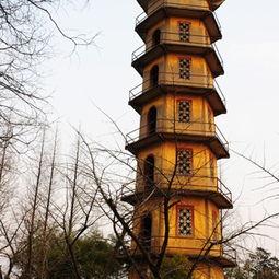 今日瓜州古渡,千年古道的历史回响