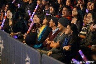 演唱会偶遇明星网红,意外惊喜！演唱会现场邂逅明星网红