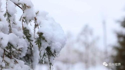 瓜州县今日有雪吗多少度,气温降至多少度？”