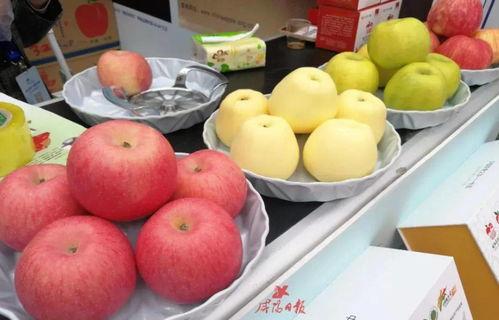 西安今日吊瓜价格,实惠之选，市民抢购热潮