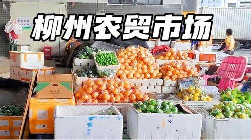 红星市场今日梨瓜批发价,新鲜上市，价格实惠，抢购从速！”