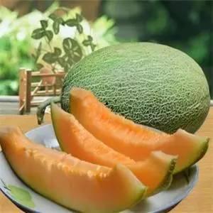 今日滑县哈密瓜,甘甜如蜜，丰收季里的甜蜜使者