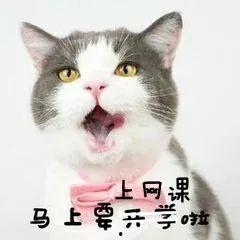今日吃瓜肥猫,揭秘娱乐圈幕后风云