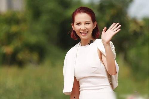 台湾明星网红老婆叫什么,揭秘她的名字与魅力