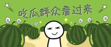 今日宜吃瓜小说,揭开今日宜吃瓜小说的神秘面纱