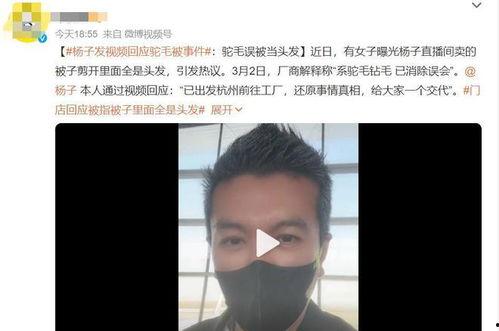 明星网红回应事件视频播放,真相与回应全解析