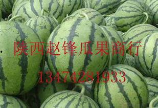 哈密瓜批发今日行情,价格波动与供需分析