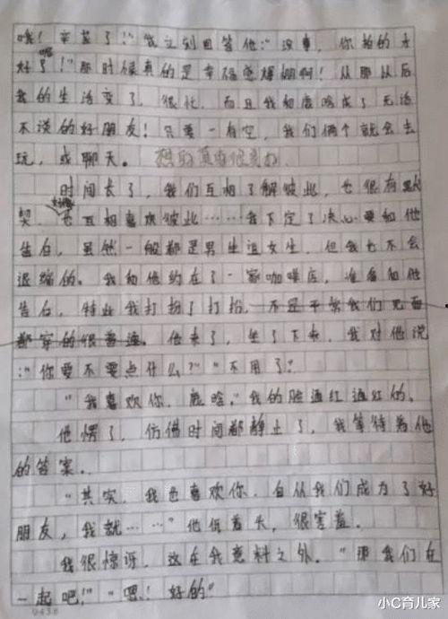 关于明星网红的英语作文,剖析其魅力与影响