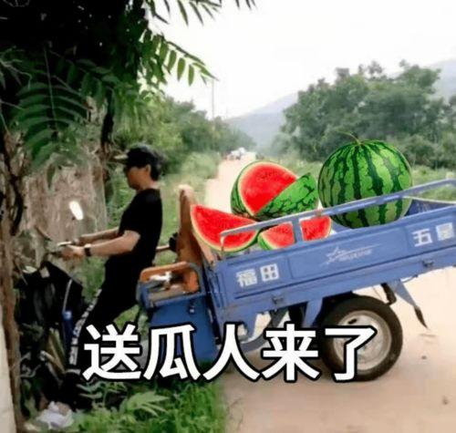 911今日吃瓜人口,今日吃瓜群众的视角