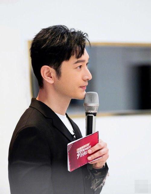 明星网红回顾经历怎么写,明星网红的青春足迹与成长历程