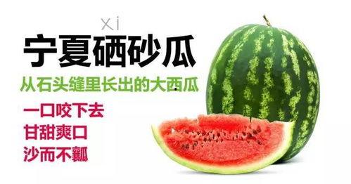 老河口石头瓜今日价格,市场行情一览
