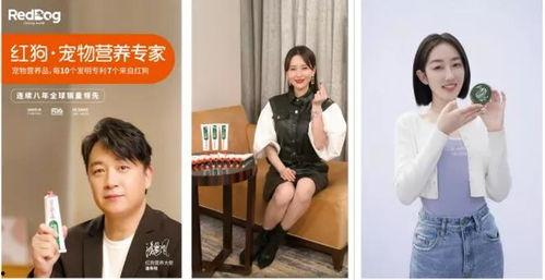 明星网红宠粉丝的模板,粉丝福利满满，互动惊喜连连