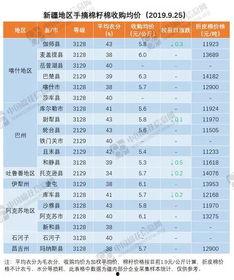 瓜州今日棉价