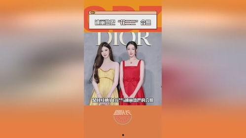 中国明星网红区别大吗,身份差异与融合之路