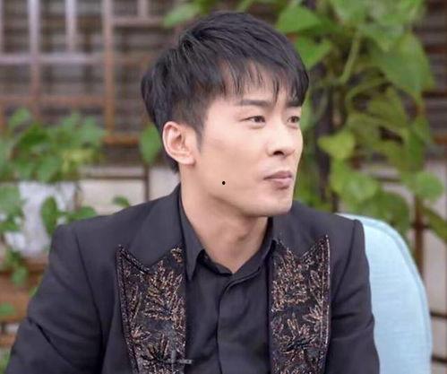 辛巴谈论明星网红捐款,明星网红捐款背后的社会责任与公众期待