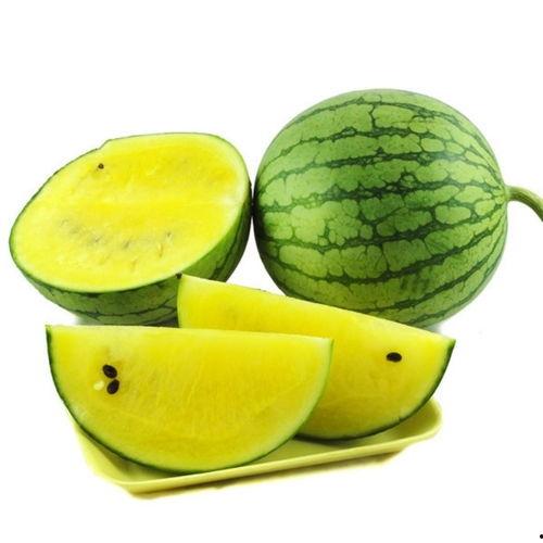 辽阳鲜瓜今日价格,品质瓜果，实惠之选