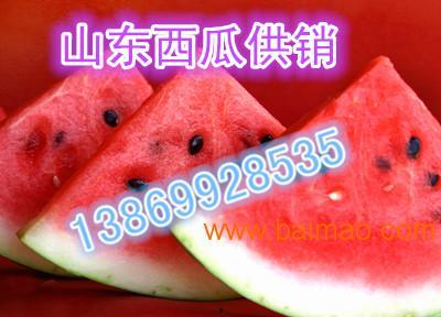 小瓜今日行情,涨跌波动，市场动态一览