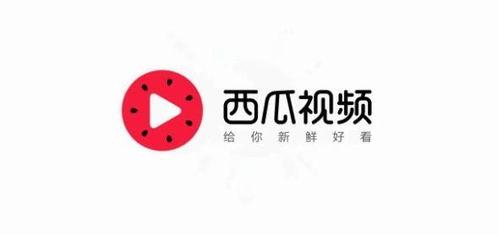 今日头条吃瓜视频,揭秘娱乐圈幕后故事