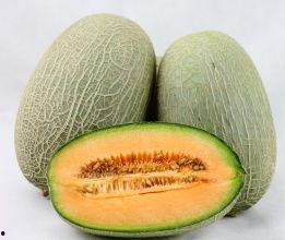 大棚种的哈密瓜今日价格,大棚种植新动态