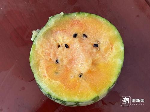 丽水今日吃瓜新闻视频,今日吃瓜新闻视频揭秘惊人内幕