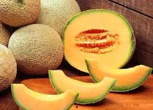 今日哈密瓜节在哪儿办