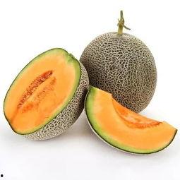 今日哈密瓜节在哪儿办