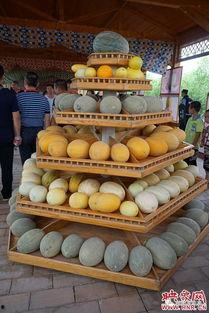 今日哈密瓜节在哪儿办