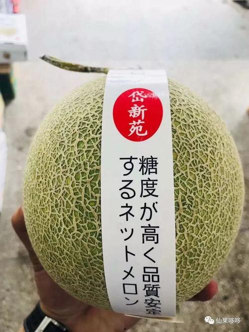 今日网纹瓜批发价,市场行情稳中向好