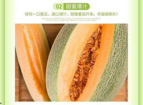 今日的海南哈密瓜价格