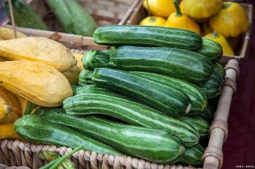 寿光今日哈密瓜最新价格,今日行情一览”