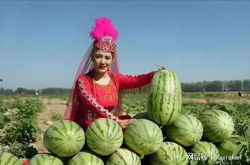 新疆瓜价最新行情今日,瓜价行情持续升温