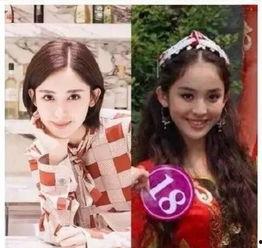 明星网红对比现场图,现场图对比揭秘真实差距