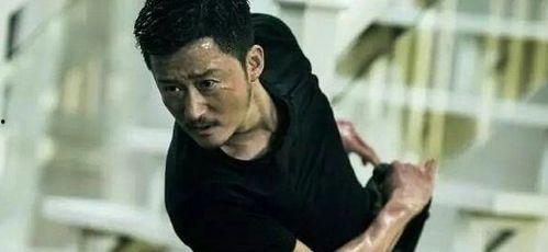 武打明星网红有哪些名字,盘点当代武打明星网红的风采